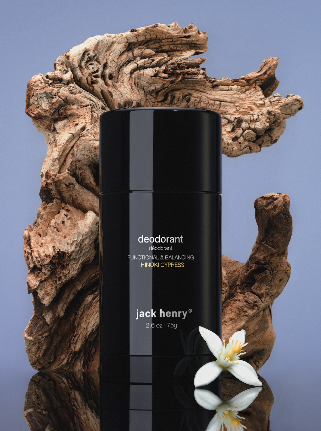 hinoki-cypress